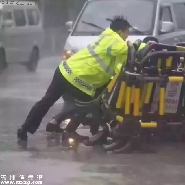 妮妲臺風給深圳留下了什么？1313棵樹被摧毀