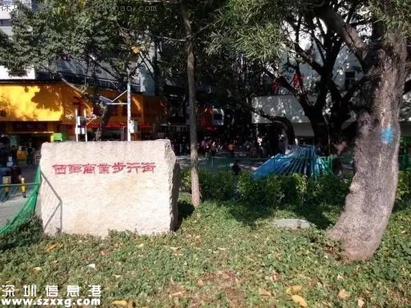 臺(tái)風(fēng)中1313棵樹(shù)被摧毀 倒伏的樹(shù)木如何處置？
