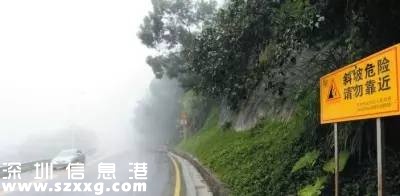 臺(tái)風(fēng)中1313棵樹(shù)被摧毀 倒伏的樹(shù)木如何處置？