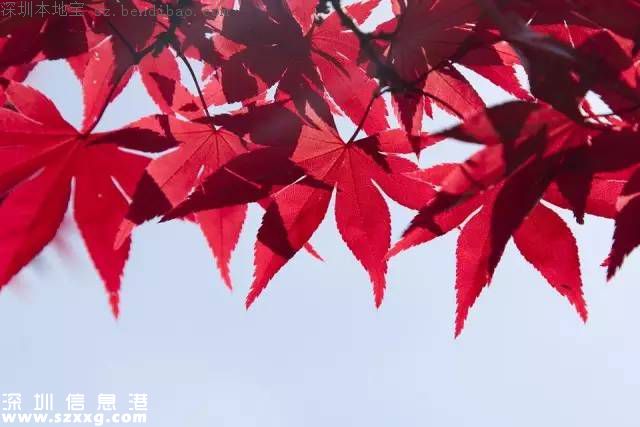 立秋是什么意思？立秋三候是啥？