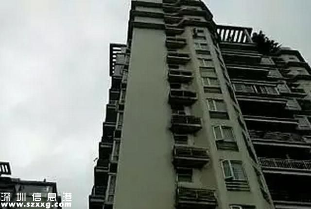 今早突發(fā)！<a href=http://www.thesurfingworld.com/shenzhen/ target=_blank class=infotextkey>深圳</a>一男子將3歲孫子從14樓拋下后自殺