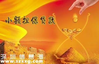 什么是小額擔保貸款