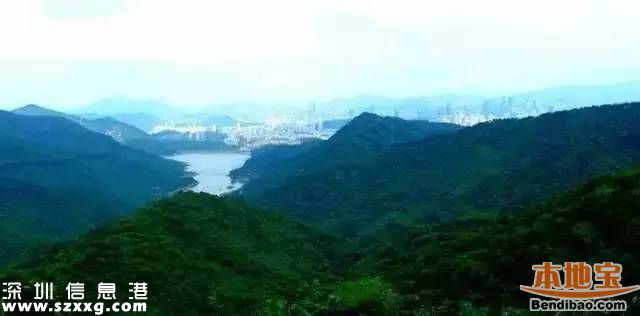 深圳地鐵7號(hào)線洪湖站實(shí)景圖曝光 吃喝玩樂(lè)最牛線
