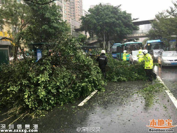 臺風海馬威力有多大？臺風下的深圳街頭