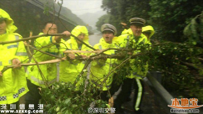 臺風海馬威力有多大？臺風下的深圳街頭