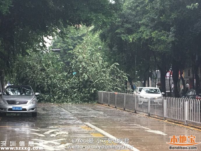 臺風海馬威力有多大？臺風下的深圳街頭