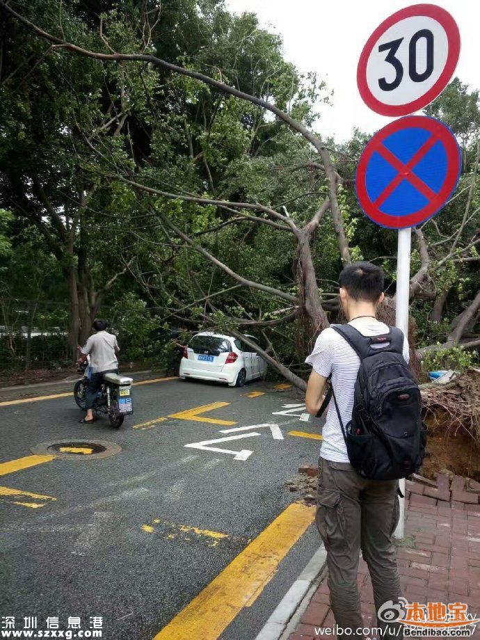 臺風海馬威力有多大？臺風下的深圳街頭