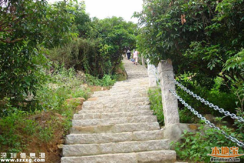 深圳仙湖植物園、塘朗山郊野公園 2公園禁止車輛通行