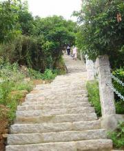 深圳仙湖植物園、塘朗山郊野公園 2公園禁止車輛通行
