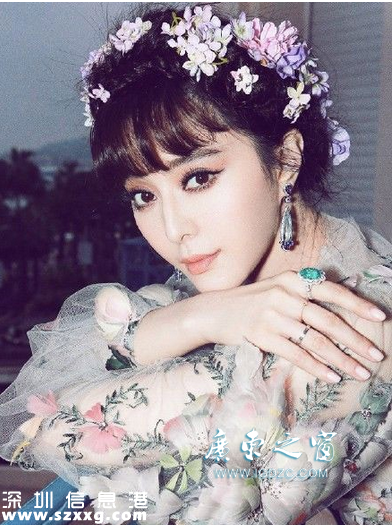 王思聰 黃段子 范冰冰 李晨 對(duì)罵 微博