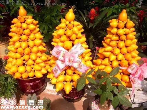 春節(jié)買什么年花？不同花有什么不同寓意？