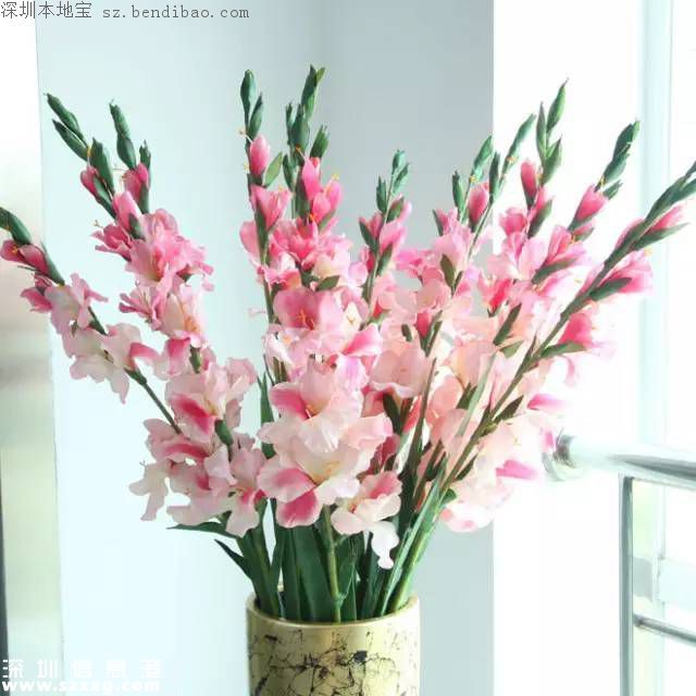 春節(jié)買什么年花？不同花有什么不同寓意？